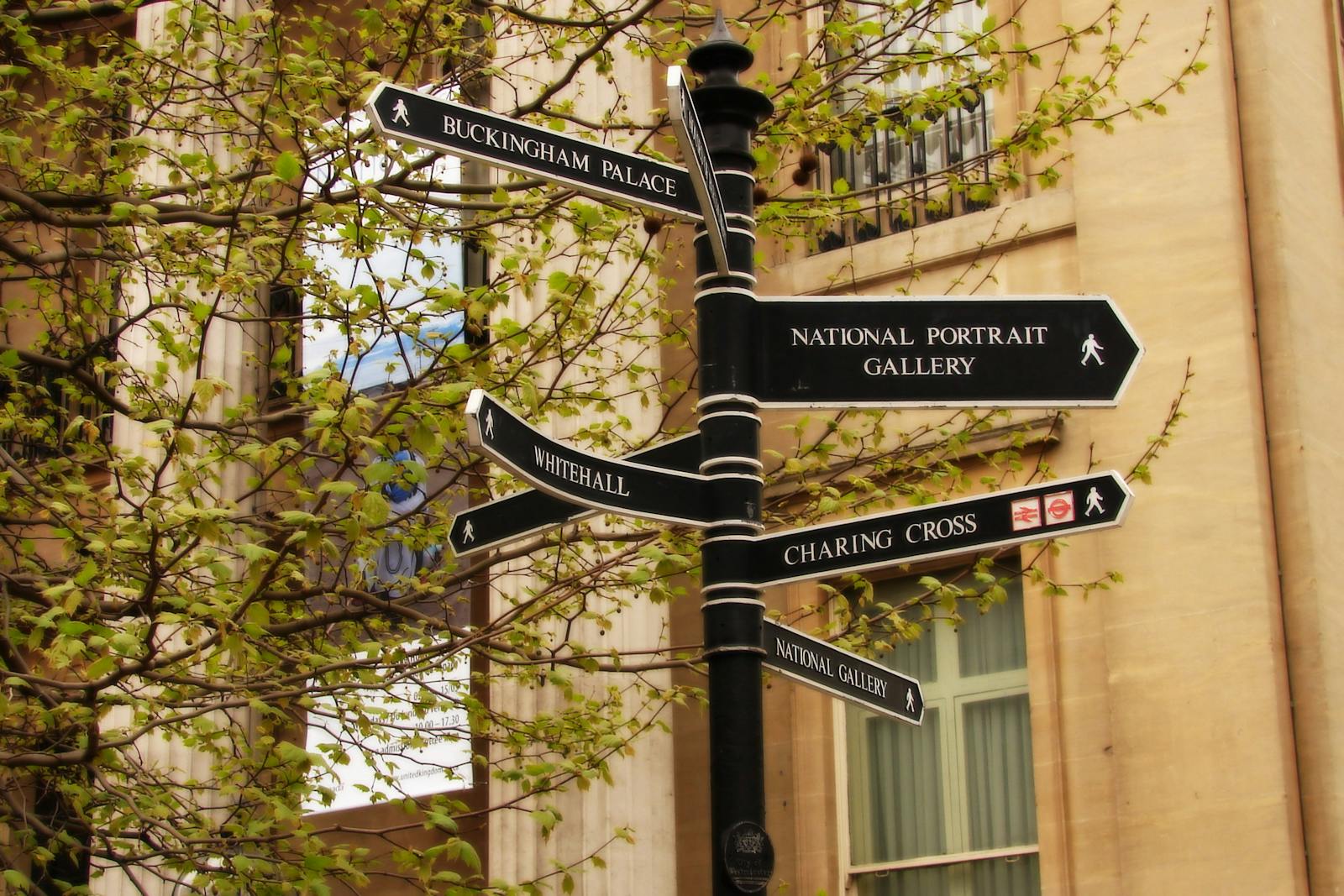 Flutter Navigation Basics: Moving Between Screens A street signpost pointing in several directions, evoking screen-to-screen Flutter navigation.
